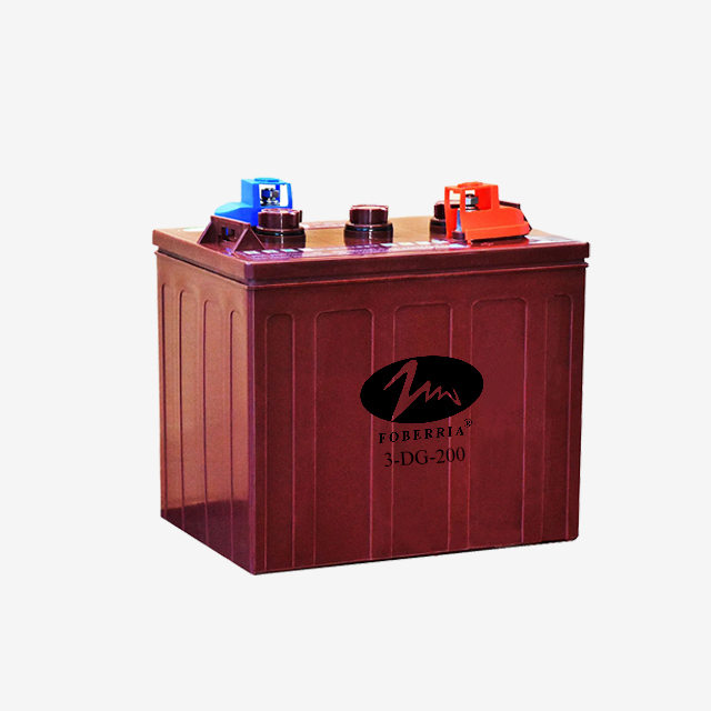 3-DG-200 電動車電池 管式極板 6V180ah 富液電池 電動車高爾夫球車電池 6V200ah